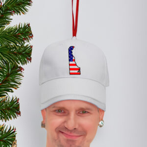 Delaware American Flag White Hat Cap