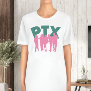 Ptx Silhouette Vintage TShirt