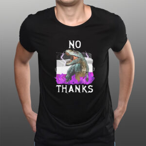 No Thanks Asexual Flag T-Shirts