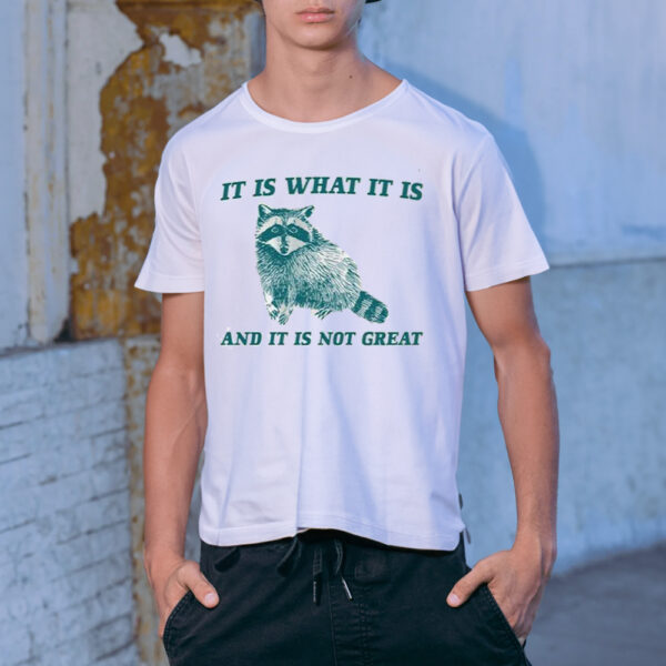 Raccoon It Is What It Is And It Is Not Great Shirt