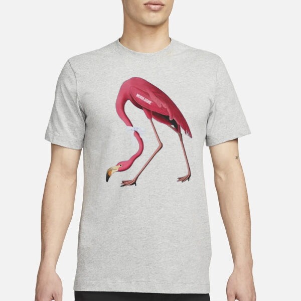 Flamingo Team Mixoloshe T-Shirt3