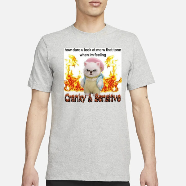 How Dare U Look At Me W That Tone When I'm Feeling Cranky And Sensitive-Unisex T-Shirt3