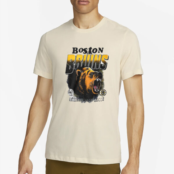 Danton Heinen Boston Bruins National Hockey League T-Shirt2