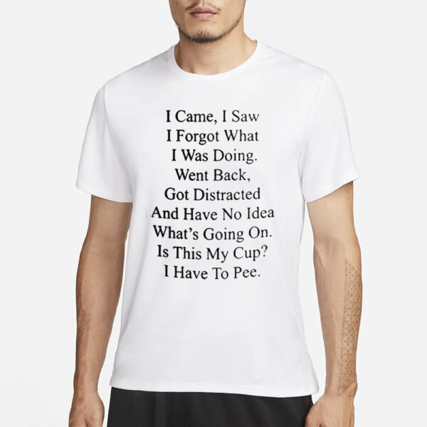 I Came I Saw I Forgot What I Was Doing Went Back T-Shirt3