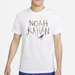 Stereospectral Prints Noah Kahan Stick Season Bird T-Shirt4