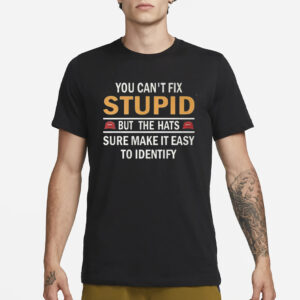 You Can’t Fix Stupid But The Hats Sure Make It Easy To Identify T-Shirt1