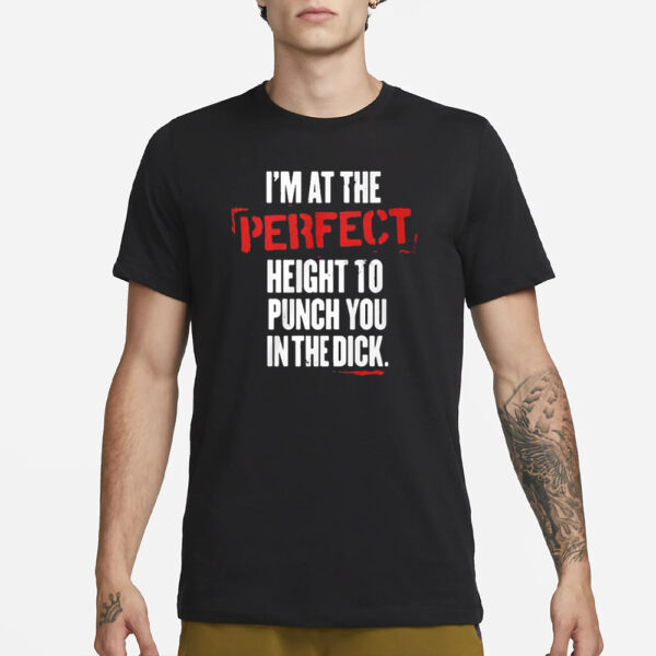 I’m At The Perfect Height To Punch You In The Dick T-Shirt1