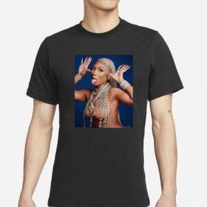 Megan Thee Stallion Hiss Tina Snow T-Shirt