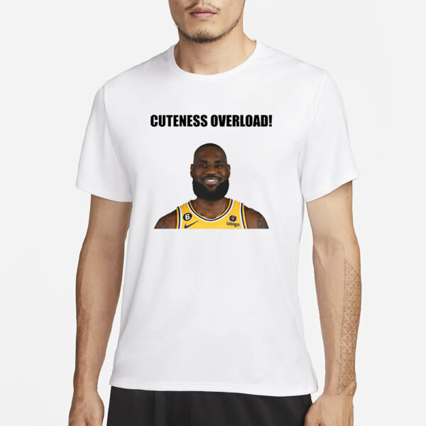 3Dlegacydesigns Lebron Cuteness Overload T-Shirt1