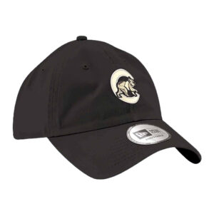 Cubs Purdue University Hat 2024