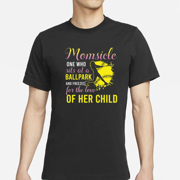 Momsicle One Who Sits At A Ballpark And Freezes T-Shirts
