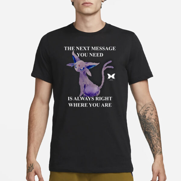 The Next Message You Need Is Always Right Where You Are T-Shirt3