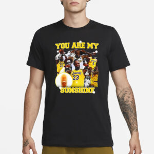 You Are My Sunshine Lebron James T-Shirt1