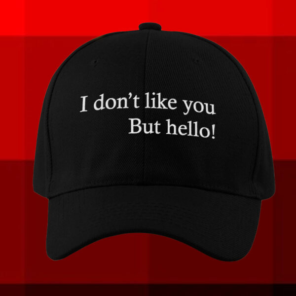 I Don’t Like You But Hello Hat