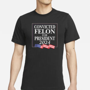 Luke Rudkowski Convicted Felon For President 2024 T-Shirts