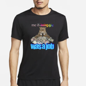 Me If Being Gay Was A Job Cat T-Shirt4