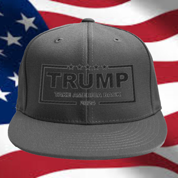 Trump Take America Back Pro Hat