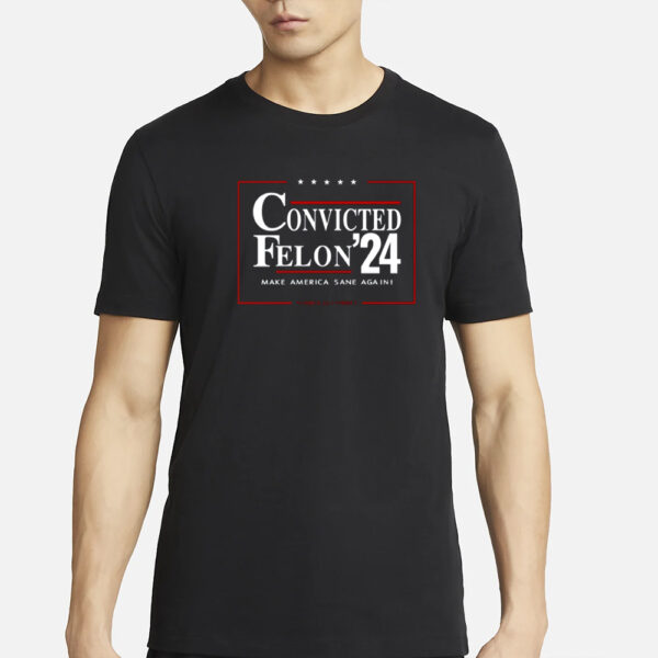 Zeek Arkham Convicted Felon 24 Make America Sane Again T-Shirt